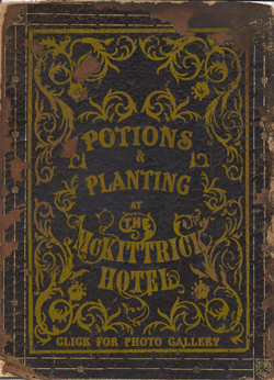 Potions & Planting