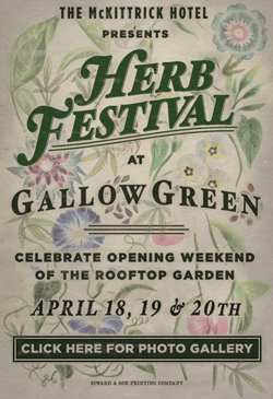Herb Festival At Gallow Green