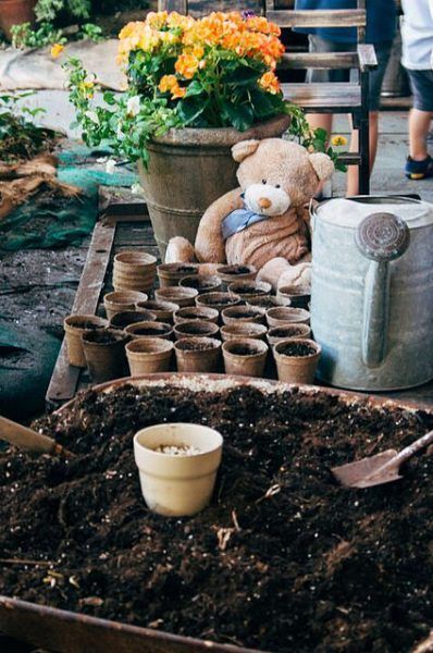 Potions & Planting 2023