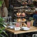 Potions & Planting 2023 Event