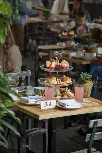 Potions & Planting 2023 Event